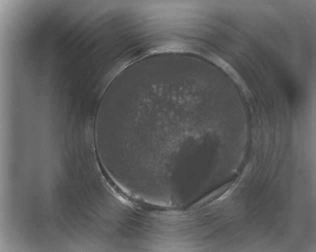 X0000070341337200606161241