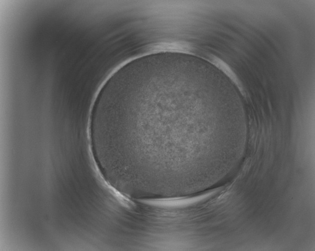 X0000070341339200606161241