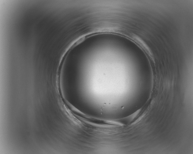 X0000070341340200606161241