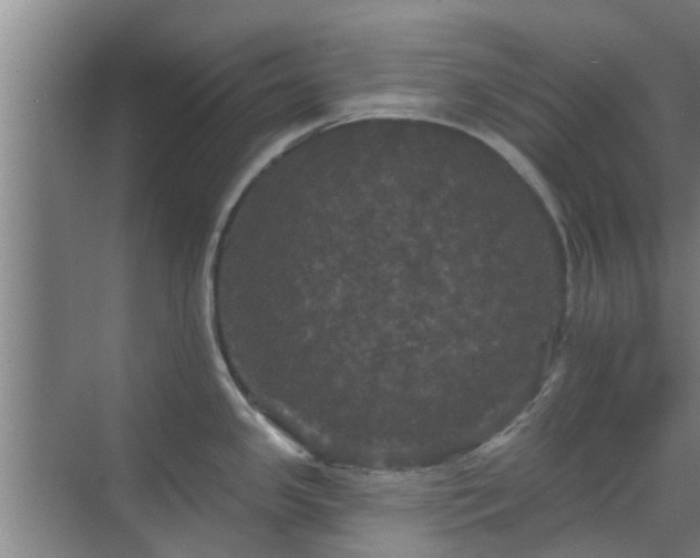 X0000070341341200606161241