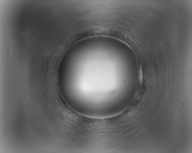 X0000070341345200606161240