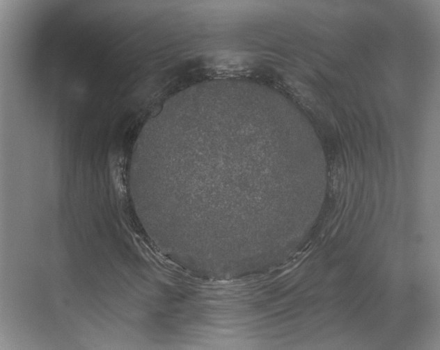 X0000070341346200606161240