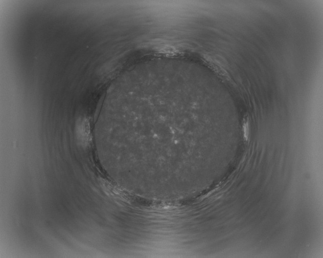 X0000070341347200606161240