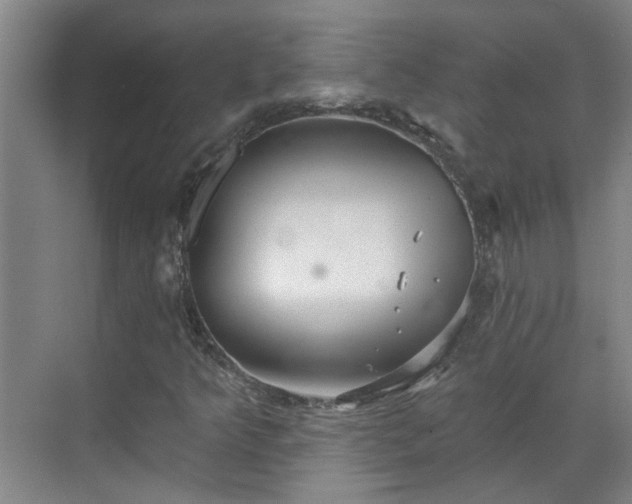 X0000070341349200606161240