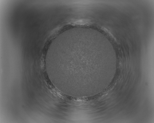 X0000070341350200606161240