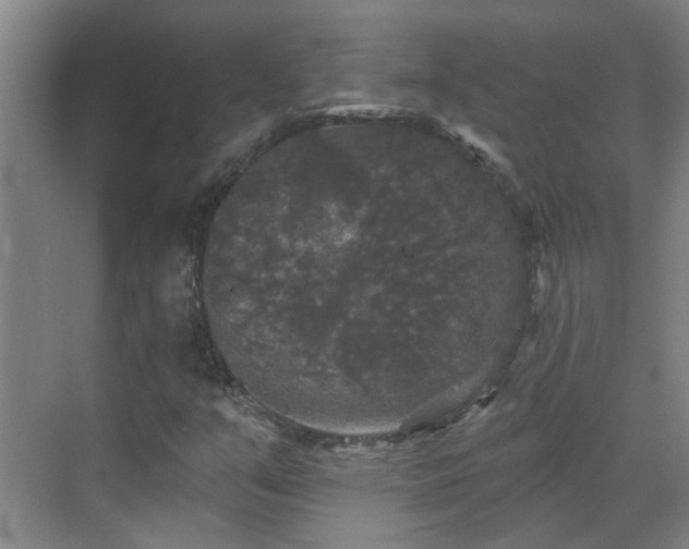 X0000070341351200606161240