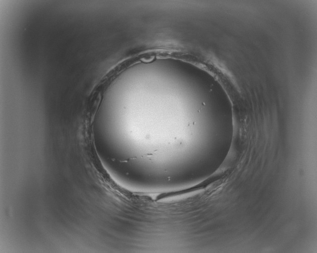 X0000070341352200606161240