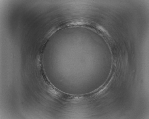 X0000070341353200606161240