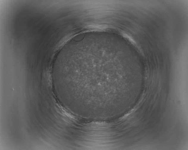 X0000070341354200606161240