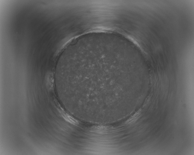 X0000070341355200606161240