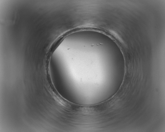 X0000070341356200606161240