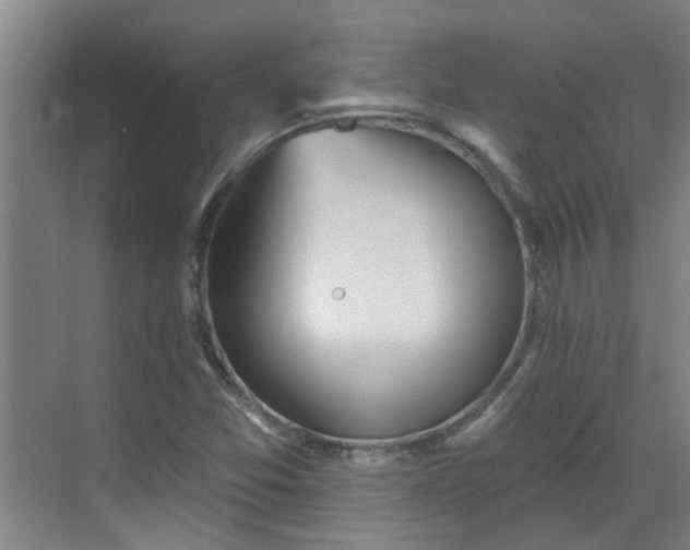 X0000070341357200606161240