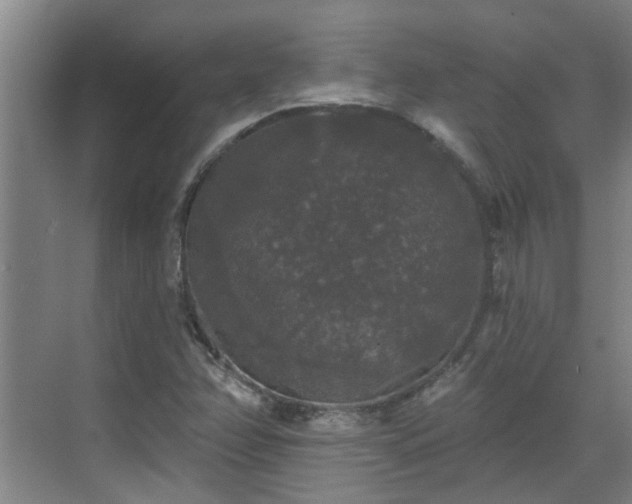 X0000070341358200606161240