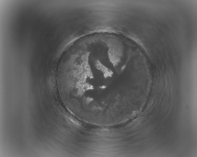 X0000070341359200606161240