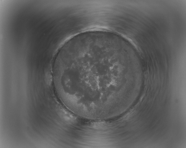 X0000070341363200606161240