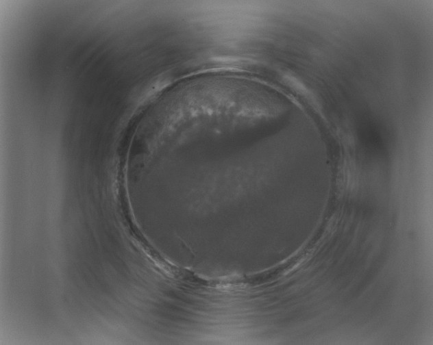 X0000070341411200606161239