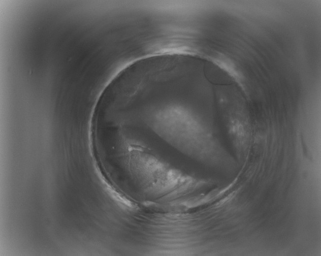 X0000070341423200606161239