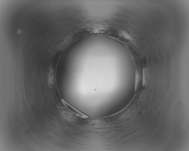 X0000070341443200606161238
