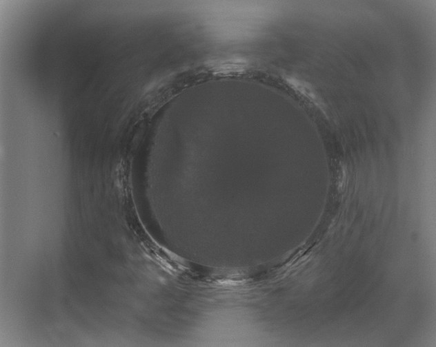X0000070341445200606161238