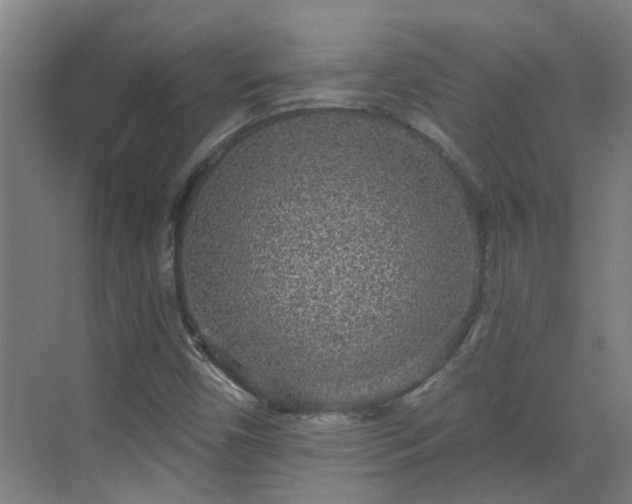 X0000070341450200606161238