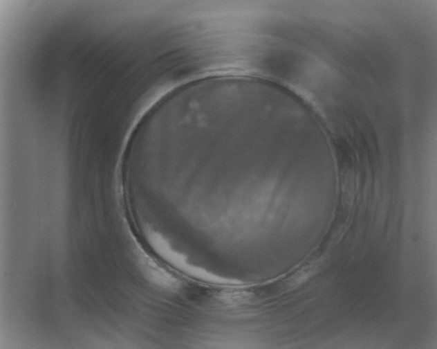 X0000070341466200606161238