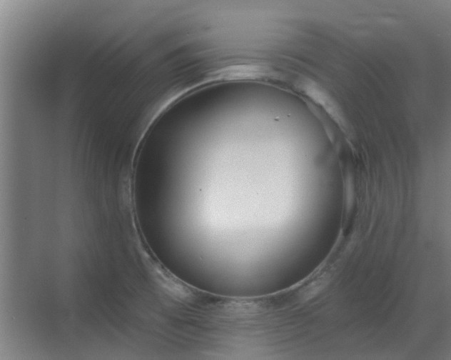 X0000070341473200606161238