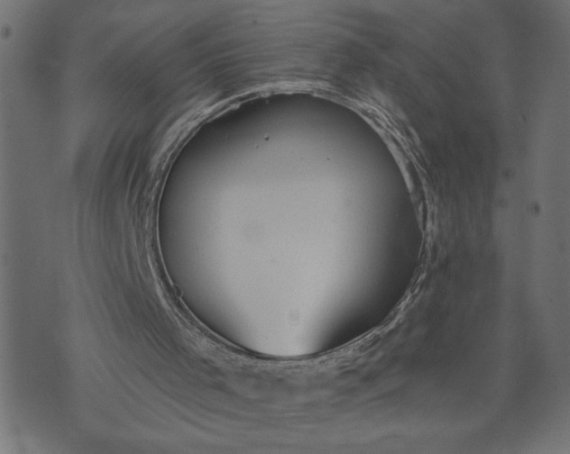 X0000070340001200606231544