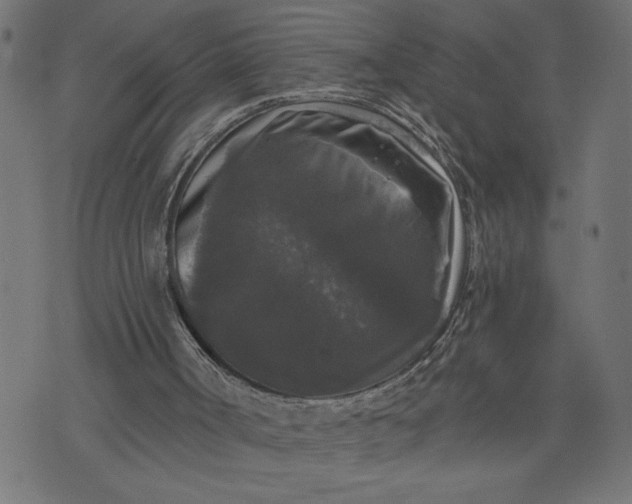 X0000070340002200606231544