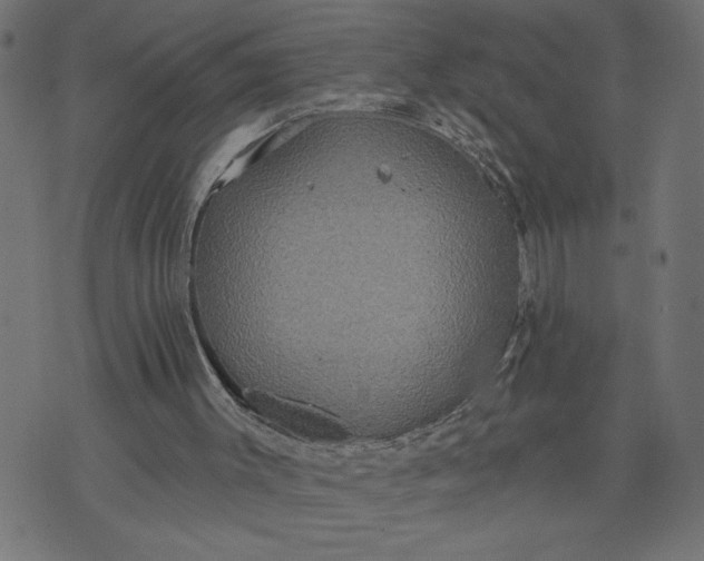 X0000070340003200606231544