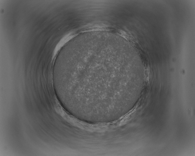 X0000070340004200606231544