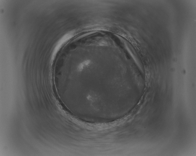 X0000070340006200606231544