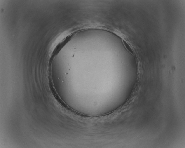 X0000070340007200606231544