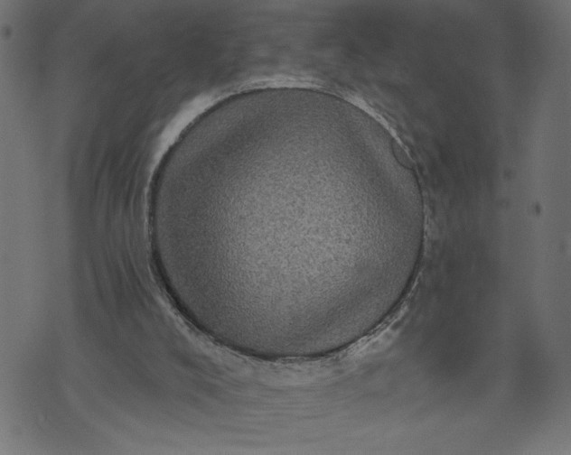 X0000070340008200606231544