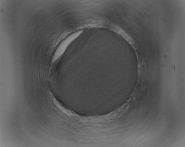 X0000070340009200606231544