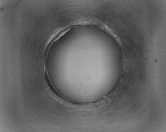 X0000070340011200606231544