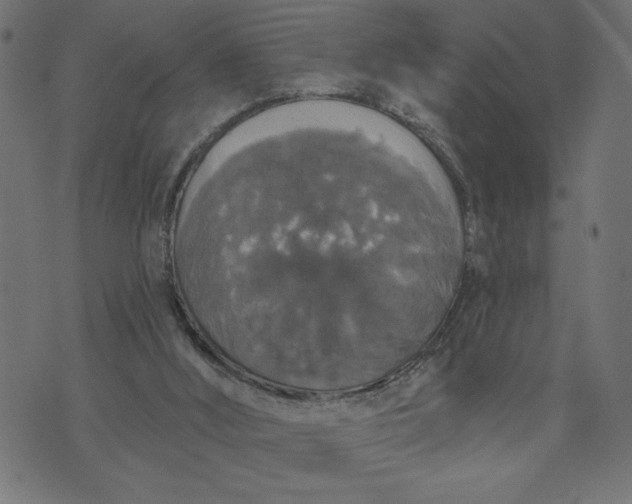 X0000070340012200606231544