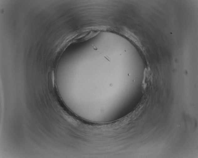 X0000070340013200606231544