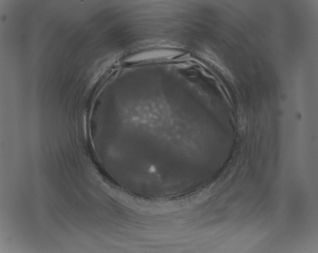 X0000070340014200606231544