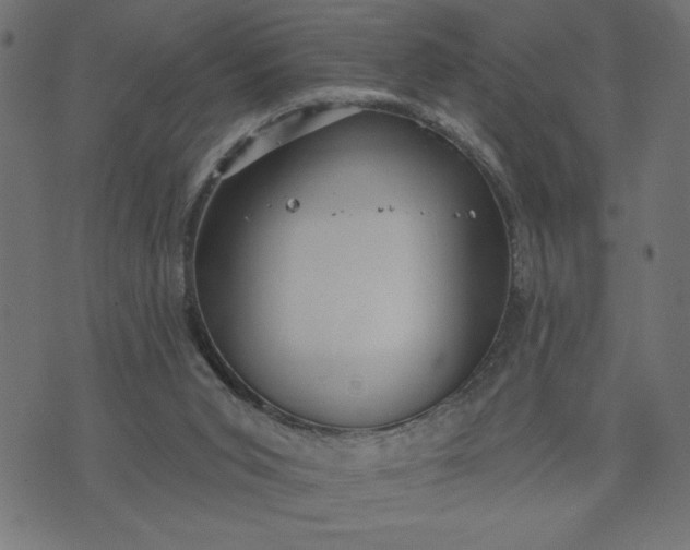 X0000070340015200606231544