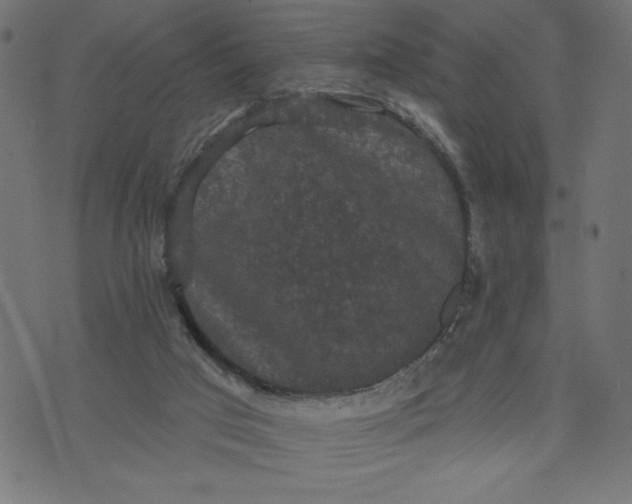 X0000070340017200606231543