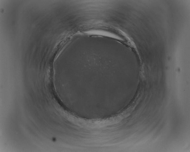 X0000070340018200606231543