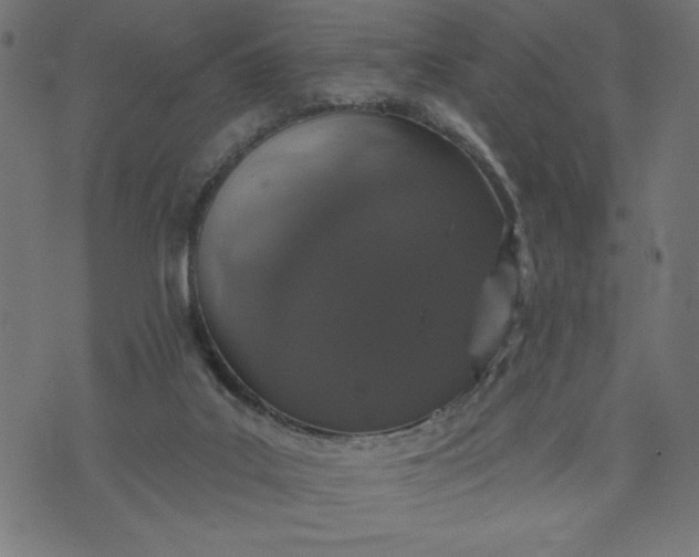 X0000070340019200606231543