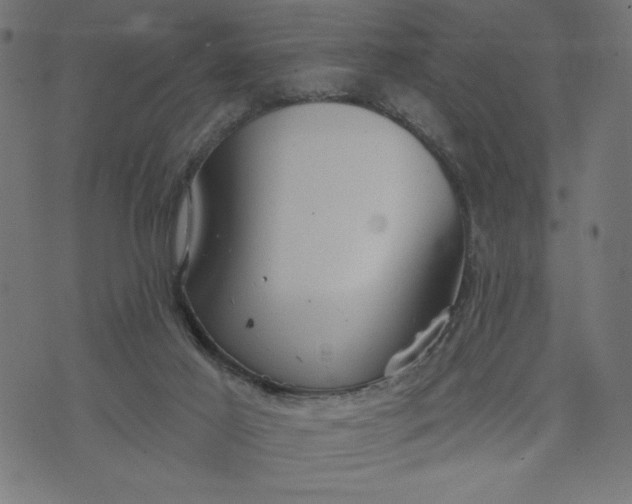 X0000070340021200606231543