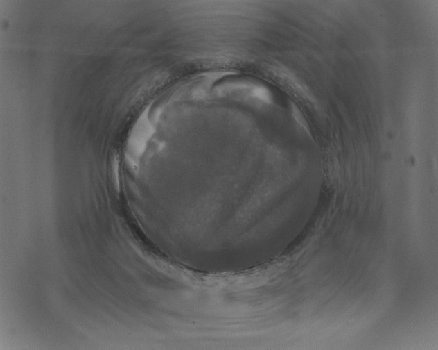 X0000070340022200606231543