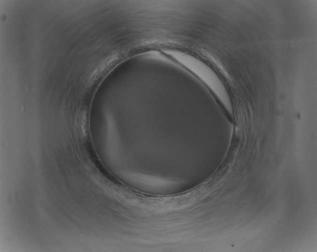 X0000070340023200606231543