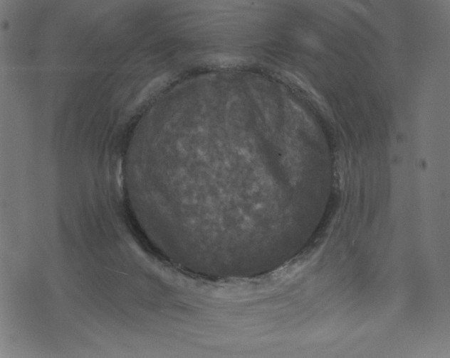 X0000070340024200606231543