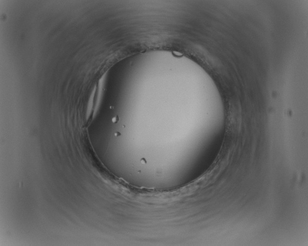 X0000070340025200606231543