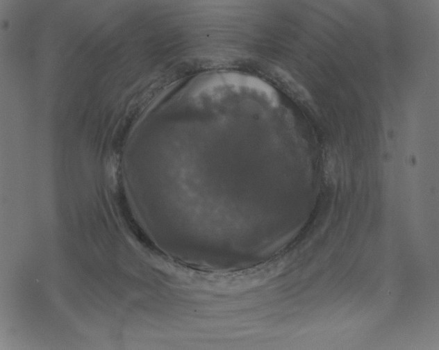 X0000070340026200606231543