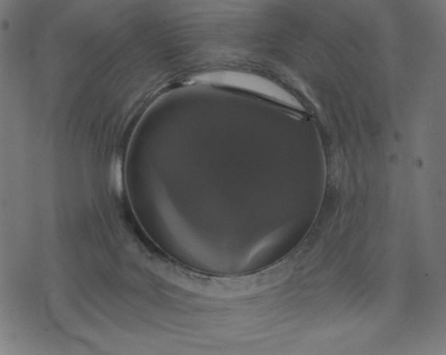 X0000070340027200606231543