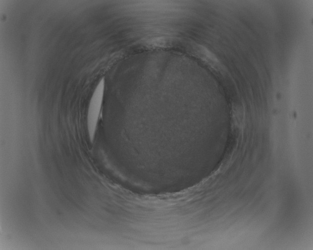 X0000070340029200606231543